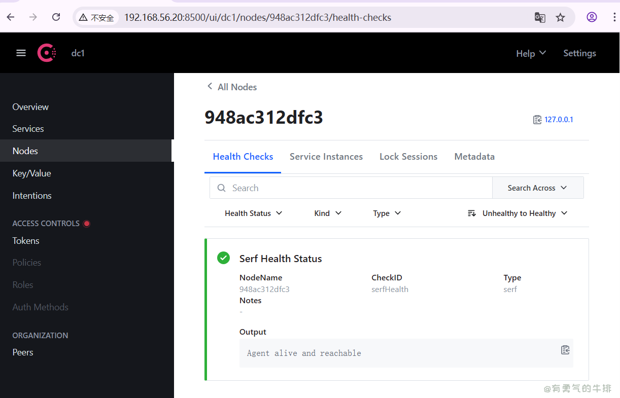 Consul Web控制面板