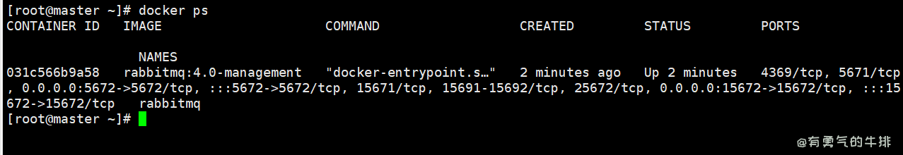 docker部署rabbitmq