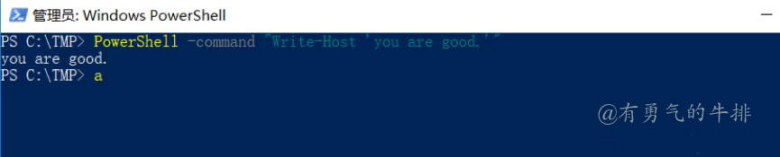 Windows PowerShell使用 -command 命令参数