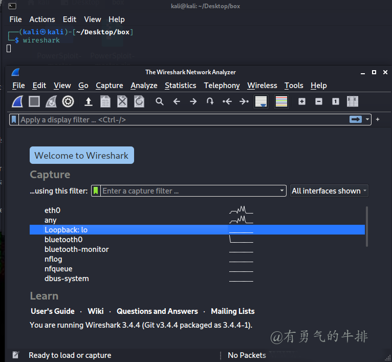 kali启动wireshark