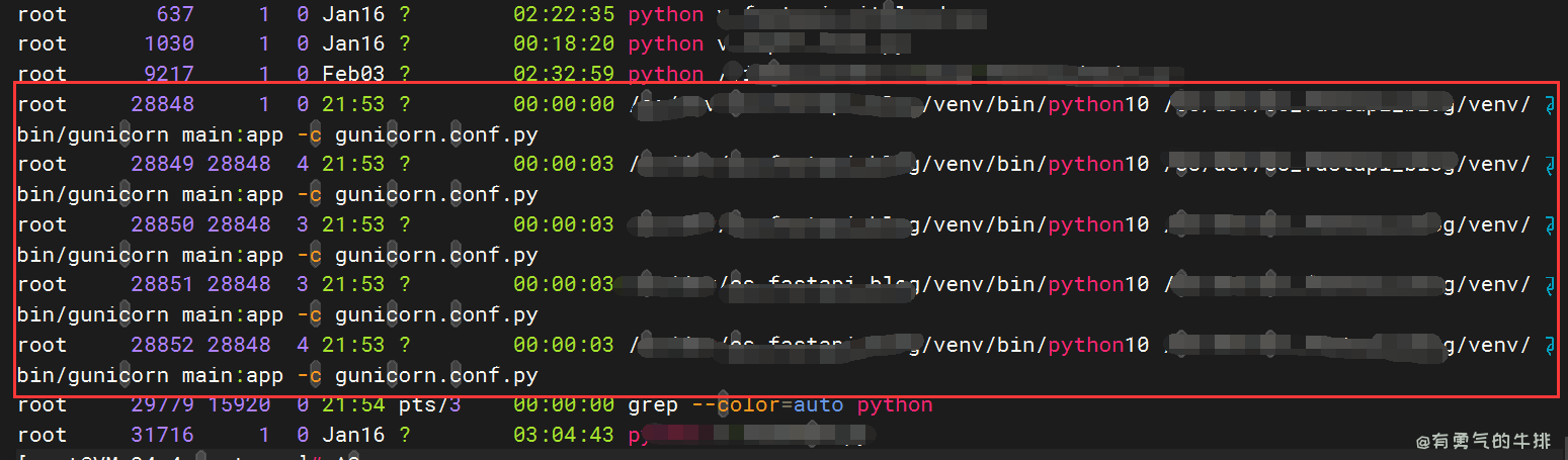 gunicorn启动fastapi项目