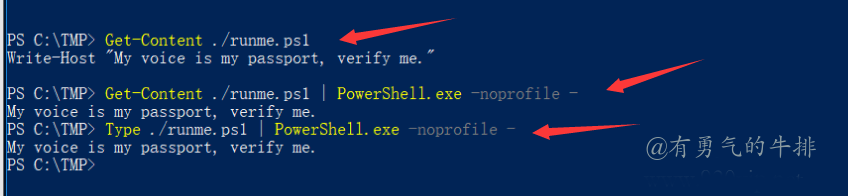 Windows PowerShell从文件读入脚本 Pipe到PowerShell的标准输入