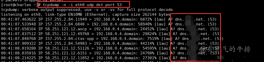 dnscat2 VPS服务器上抓包