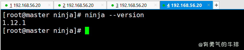 查询Linux Centos中Ninja版本